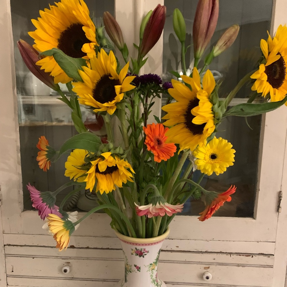 Meet your Posher, Mari